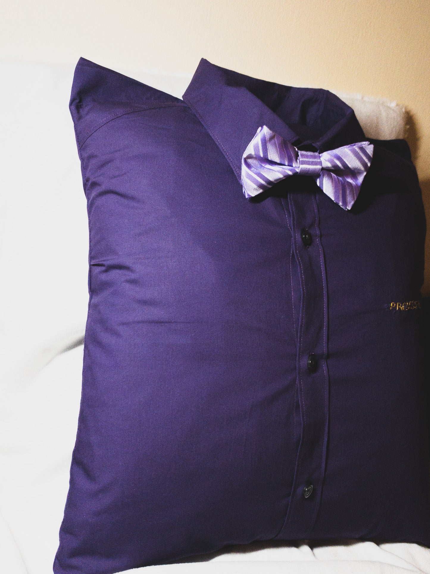 Memory Pillow